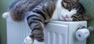 Клеить фольгу за батареи бесполезно: есть способ намного лучше