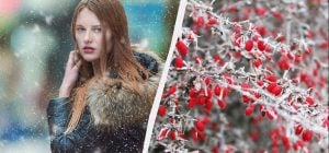 Важный исторический праздник в Украине: почему 28 января на пол ставят миску каши