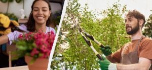 Вони можуть цього не пережити: які рослини не слід обрізати на зиму і взимку