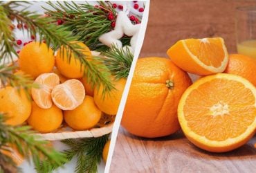 Клементини проти апельсинів: дієтологи пояснили, який фрукт корисніший