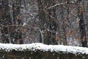 3 января часть Украины накроют дожди и мокрый снег