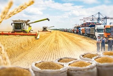 Денег от экспорта на всех (не) хватит. Каким был 2025 год для украинской аграрки, и что готовит 2026-й