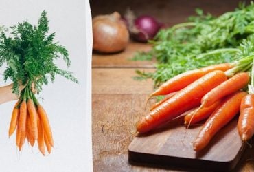 Только один способ поможет сохранить морковь свежей до 10 дней: в чем он заключается