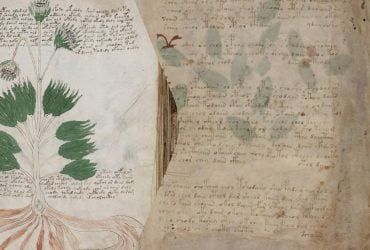 Рукопис Войнича, про який учені нічого не знають, може виявитися середньовічним шифром