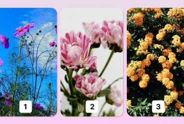 Ваш главный талант по цветку: психологический тест расскажет, в чем вы хороши