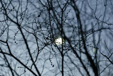 Как планировать январь 2026: лунный календарь подскажет ваши удачные дни