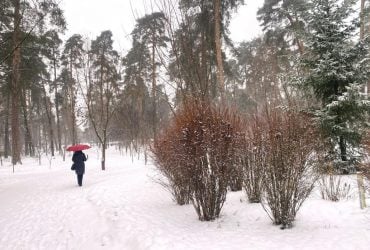 Антициклон разрушается: синоптик сообщила, как изменится погода в Украине 22 января