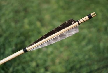 Археологи неожиданно обнаружили 60-тысячелетние наконечники стрел с ядом: что это означает