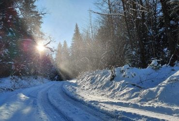 Ліси на Львівщині засипало снігом: це варто побачити (фоторепортаж)