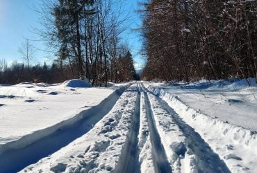 Де в Україні у понеділок будуть найбільші морози: Діденко дала прогноз на 12 січня