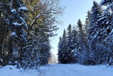 Перед вихідними в Україні стане холодніше