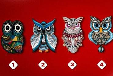 Який у вас стиль спілкування з оточуючими: вибір сови дуже точно вас опише