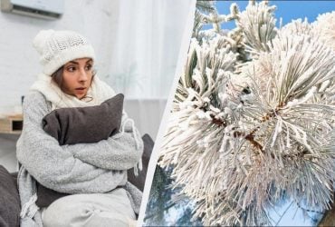 Як зігрітися в холодній квартирі: 8 способів, які дійсно працюють