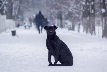 Коротке потепління в Україні 16 січня зміниться морозами