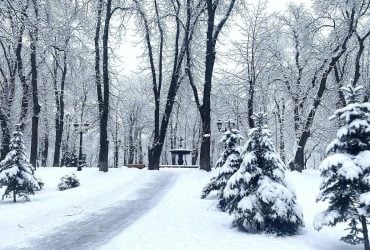 Якою буде погода у Києві до кінця січня: прогноз Укрогідрометцентру