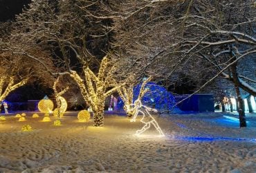 Магія світла: парк вогнів на ВДНГ під снігом засяяв по-новому (фоторепортаж, відео)