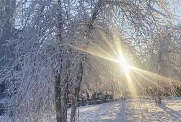 Коли тріскучі морози в Україні підуть на спад: синоптикиня назвала точну дату