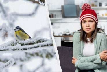 Морози в Україні посиляться до -25° й можуть тривати аж до лютого, - синоптик