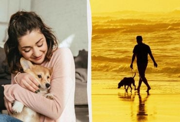 Не только собаки лучшие друзья человека: ученые узнали, кто еще понимает людей без слов