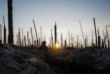 Війна знищила унікальний ліс на Донбасі, і відродити його вже неможливо, - науковець