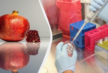 Можно ли есть гранат с косточками: польза, вред и рекомендации ученых