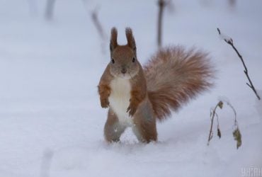 Сегодня в Киеве будет самый холодный день недели