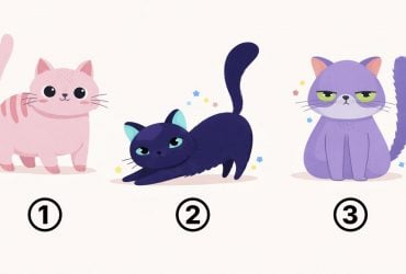 Милый тест по котятам: выбранная картинка расскажет, что о вас думают близкие