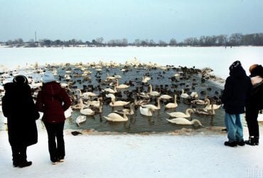 22 января погода в Киеве начнет меняться