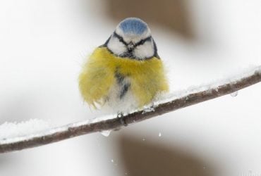 Метеоролог сообщила, стоит ли ждать быстрого потепления в Украине