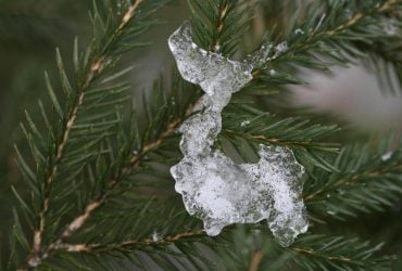 26 січня в Україну увірветься відлига: майже по всій країні буде "плюс"