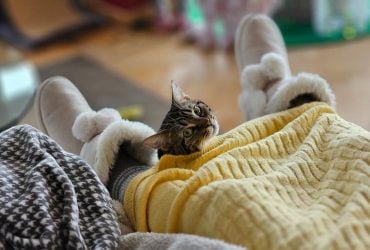 Кінець потепління: 30 січня до України повернуться морози