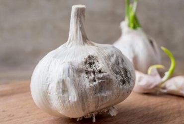 Чому не можна зберігати часник у холодильнику: що з ним буде