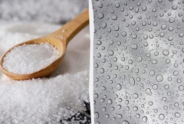 Окна больше не будут плакать: что поставить на подоконник