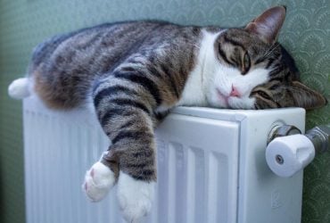 Клеїти фольгу за батареї марно: є спосіб набагато кращий