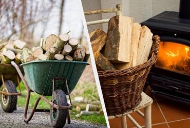 Пенсионеры и еще 8 категорий могут получить дрова от государства: куда обращаться