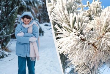 Синоптики дали прогноз погоды на февраль 2026: когда потеплеет и сколько будет снега