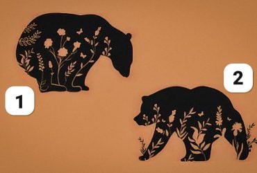 Интернет покоряет новый тест: психологический разбор вашей личности