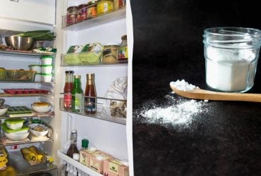 Як прибрати запах у холодильнику без хімії: потрібні всього 2 компоненти