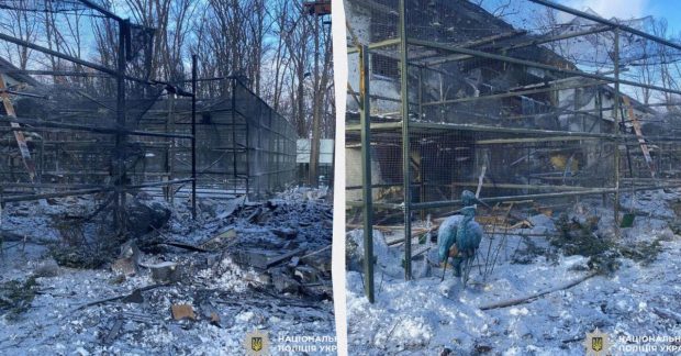 Росіяни скинули авіабомбу на Фельдман екопарк у Харкові