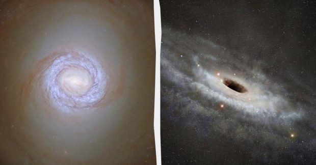 чорна діра задушила галактику, у якій знаходилася