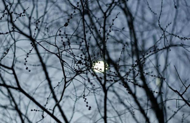 Как планировать январь 2026: лунный календарь подскажет ваши удачные дни