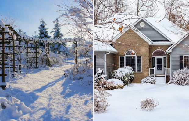 Що можна зробити в саду в січні: 7 порад від королівського садівника