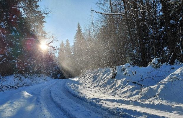 Ліси на Львівщині засипало снігом: це варто побачити (фоторепортаж)