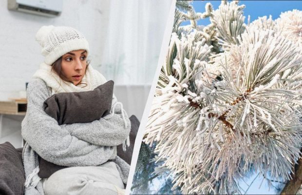 Як зігрітися в холодній квартирі: 8 способів, які дійсно працюють