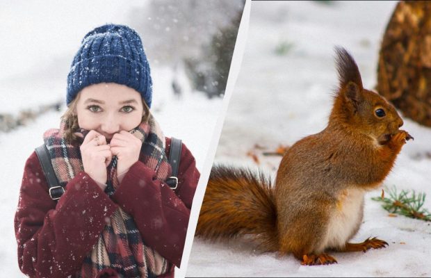 15 січня - професійне свято в Україні: чому не можна довіряти незнайомцям