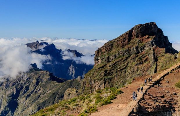 Мадейра – самое трендовое направление 2026 года: какая обстановка там в январе (фоторепортаж)