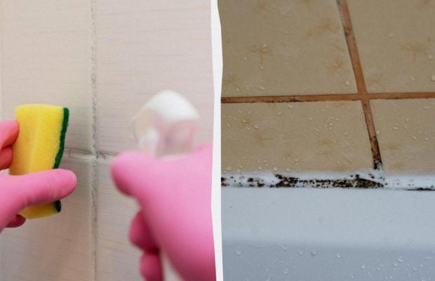 Идеальная чистота в ванной: чем отмыть плитку и швы от грибка без жесткой щетки