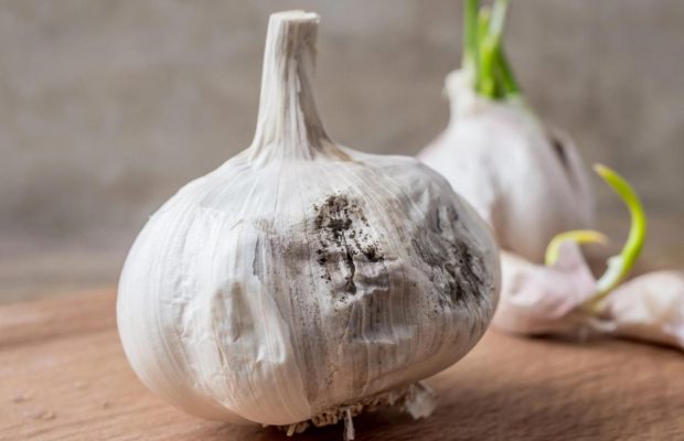 Почему нельзя хранить чеснок в холодильнике: что с ним будет