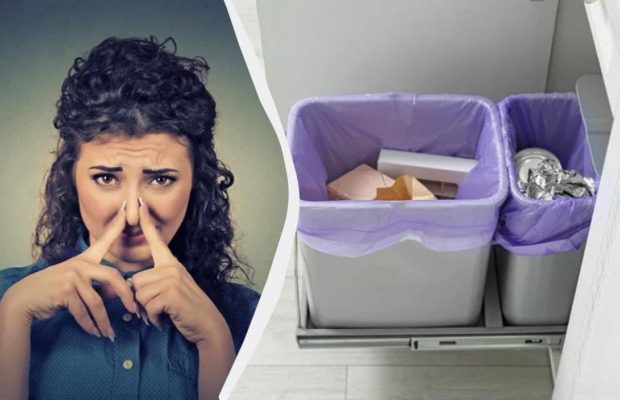 Щепотку прямо на дно ведра - и мусор больше не будет вонять: что нужно засыпать