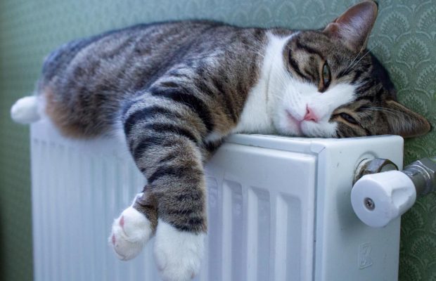 Клеїти фольгу за батареї марно: є спосіб набагато кращий